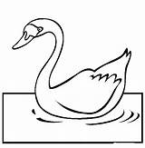 Swan Coloring Pages Color Bird Beautiful Girls Animal Animals sketch template