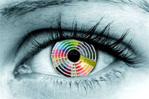 colour wheel eye stock photo image  printers iris