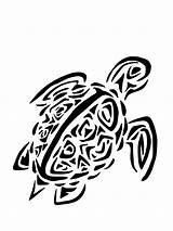 Turtle Tribal Sea Tattoo Hawaiian Tattoos Clipart Drawing Outline Coloring Simple Pages Turtles Panda Designs Cliparts Drawings Baby Wolfs Hybrid sketch template