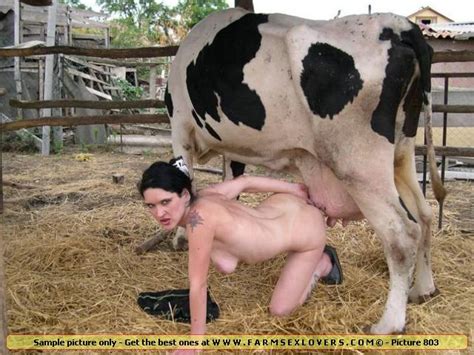 woman has sex with cow porn excelent porn