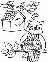 Owls Coloring sketch template