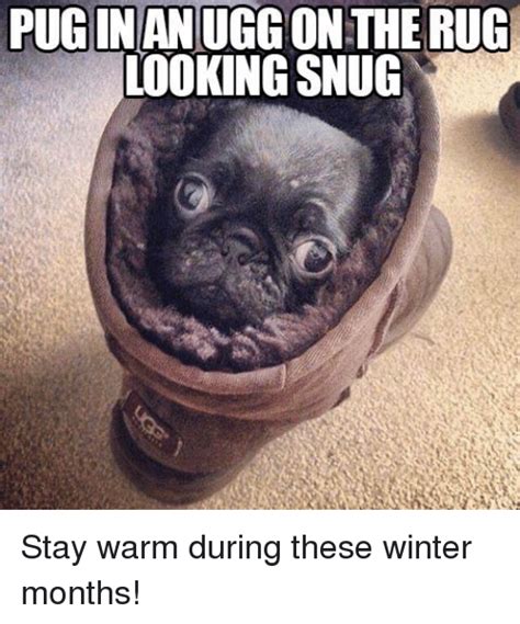 Trying To Stay Warm Meme