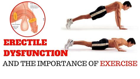 exercise for erectile dysfunction ed and the importance
