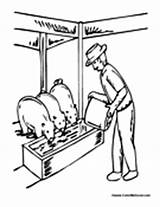 Farmer Coloring Pages Feeding Pigs People Farming Equipment Colormegood sketch template