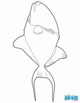 Coloring Triggerfish Choisir Tableau Un Pages Coloriage sketch template