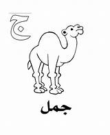 Arabic Jeem Coloring Pages Camel Alphabet Tocolor Color Maternelle Choisir Tableau Un sketch template