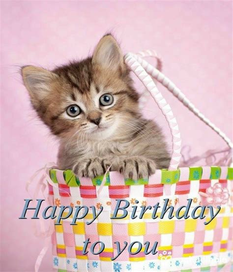 pin  margie angely  birthday happy birthday cat happy birthday
