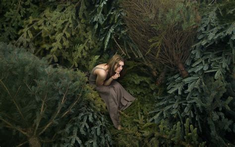壁纸 树木 森林 户外户外 妇女 模型 幻想艺术 性质 云杉 荒野 丛林 雨林 厂 截图 林地 栖息地 自然