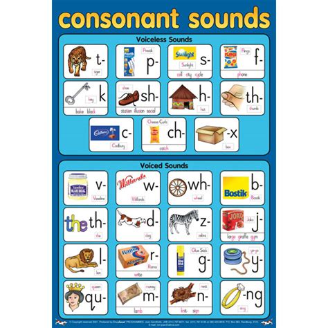 voiced  voiceless consonants chart consonant charts    hot