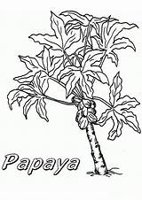Papaya Indiaparenting sketch template