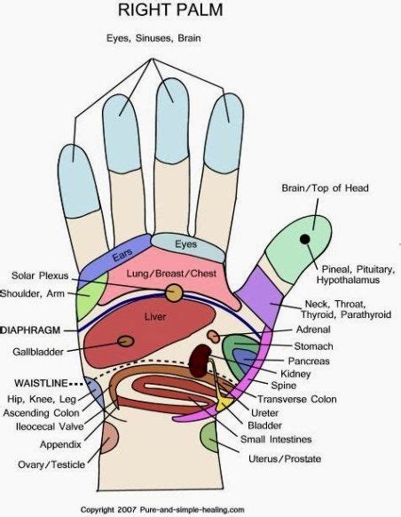 how to give a full body massage at home hand reflexology reflexology