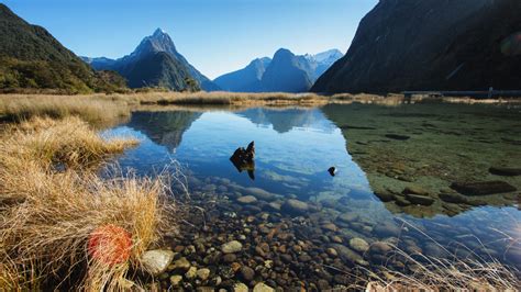 Milford Sound New Zealand Wallpaper Widescreen Hd