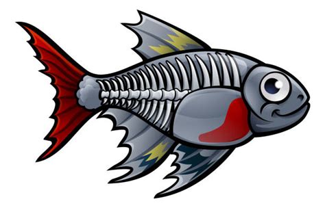 cute  ray tetra fish clip art illustrations royalty  vector