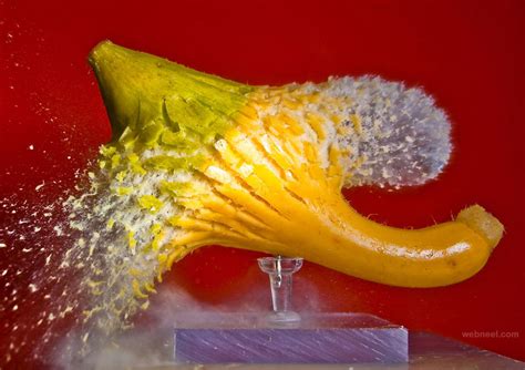 stunning high speed photography examples  tips  beginners
