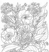 Coloring Summer Pages Flowers Adults Printable Adult Colouring Color Print Flower Sheets Coloriage Adulte Google Es Therapy Adultos Flores Getcolorings sketch template