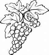 Grapes Coloring Grape Vine Colorluna Vines Vineyard Leaf Uvas Carving sketch template
