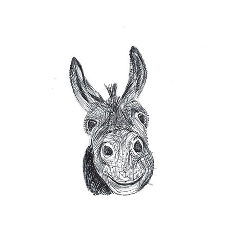 donkey head sketch  paintingvalleycom explore collection  donkey