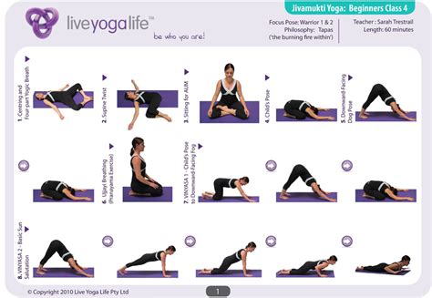 hatha yoga  beginners class   yoga life