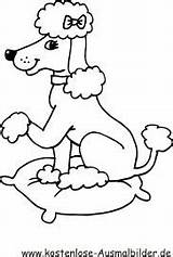 Ausmalbilder Pudel Ausdrucken Kostenlos Zum Hunde Ausmalen Malvorlage Mandalas Poodle Smurfs sketch template