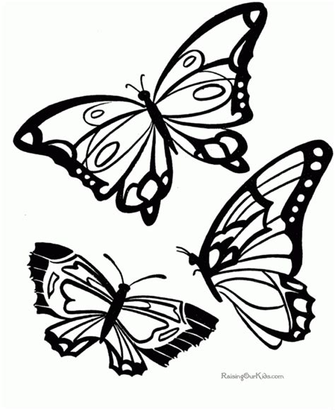 butterfly coloring pages printable ug