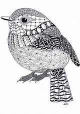 Zentangle Pages Patterns Colouring Easy Animal Coloring Animals Bird Zentangles Simple Mandala Drawings Pattern Template Drawing Unique Printable Find Uccelli sketch template