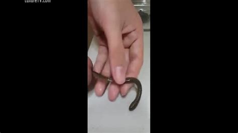 worms in dick xxx femefun