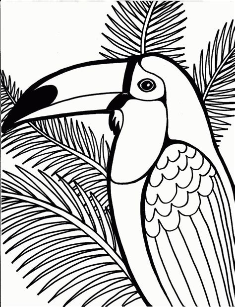 tropical bird coloring page animal coloring pages bird coloring