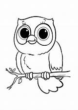 Sova Tulamama Owls Sheets Bojanke sketch template