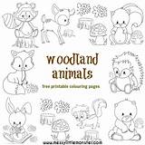 Woodland Colouring Australian sketch template