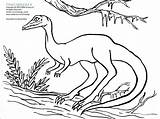 Coelophysis Coloring Dinosaur Sheets Zoom sketch template