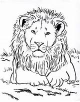 Coloring Lion Head Printable Pages Getcolorings Print Color Sheets Kids Animal Jungle Choose Board sketch template