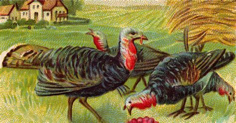 thanksgiving turkeys karens whimsy