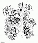 Coloring Adults Pages Animal Panda Printable Adult Print Colouring Animals Sheets Look Other sketch template