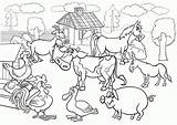 Farm Animals Coloring Pages Printable Kids sketch template