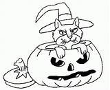 Halloween Coloring Pages Pumpkin Cat sketch template