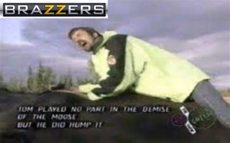Tom Green Humping A Dead Moose Brazzers Know Your Meme