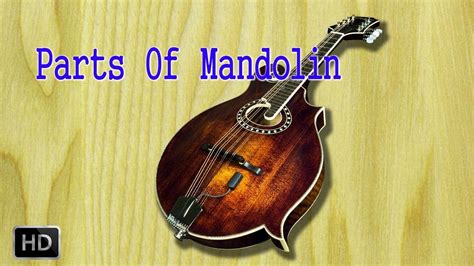 learn   play mandolin parts  mandolin basic lessons  beginners mandolin basics