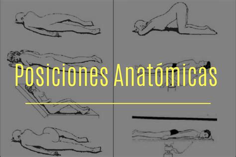 posiciones anatomicas basicas