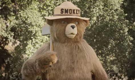 was smokey bear wrong how a beloved character may have helped fuel