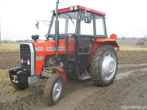 fotografia traktor massey ferguson   galeria rolnicza agrofoto