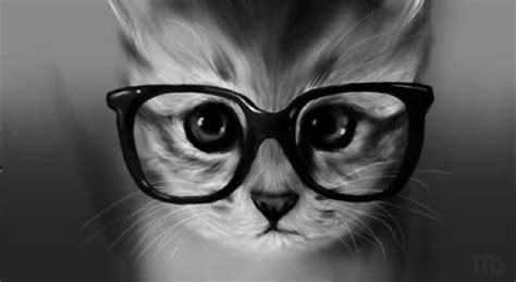 10 Cute Cats Wearing Hipster Glasses