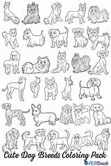 Coloring Breed Puppies sketch template