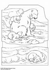 Coloring Polar Bear Pages Little Animals Printable Lars Maurice Sendak Printables Animal Edupics Popular Coloringhome sketch template
