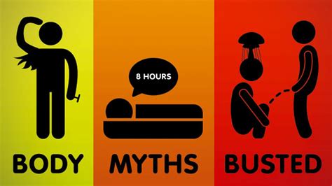 10 stubborn body myths that just won t die debunked by science