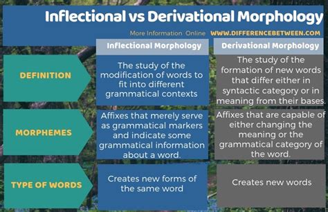 difference  inflectional  derivational morphology compare