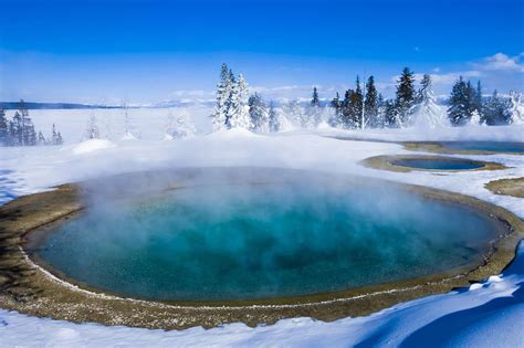 10 reasons to visit yellowstone national park in winter