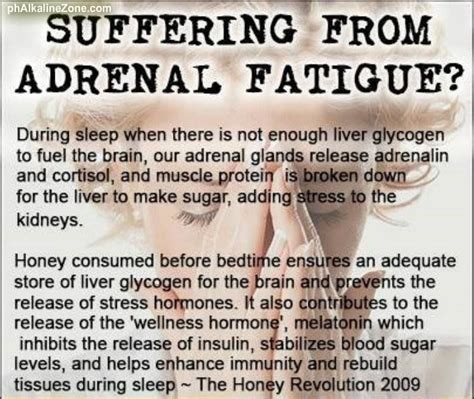 Adrenal Fatigue Adrenal Fatigue Holistic Health Remedies Health