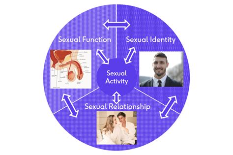 Male Sexual Dysfunction Physiopedia