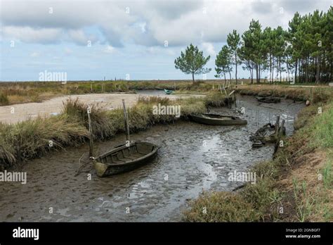 Old Vintage Boats Left Behind In The Salt Marshlands Wetlands Of