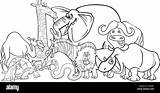 Safari Animals African Cartoon Coloring Alamy Stock sketch template